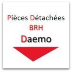 brh_daemo